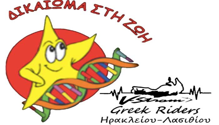 vstrom logo