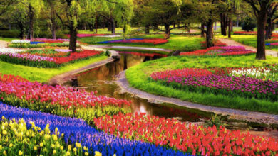 keukenhof khpoi europe